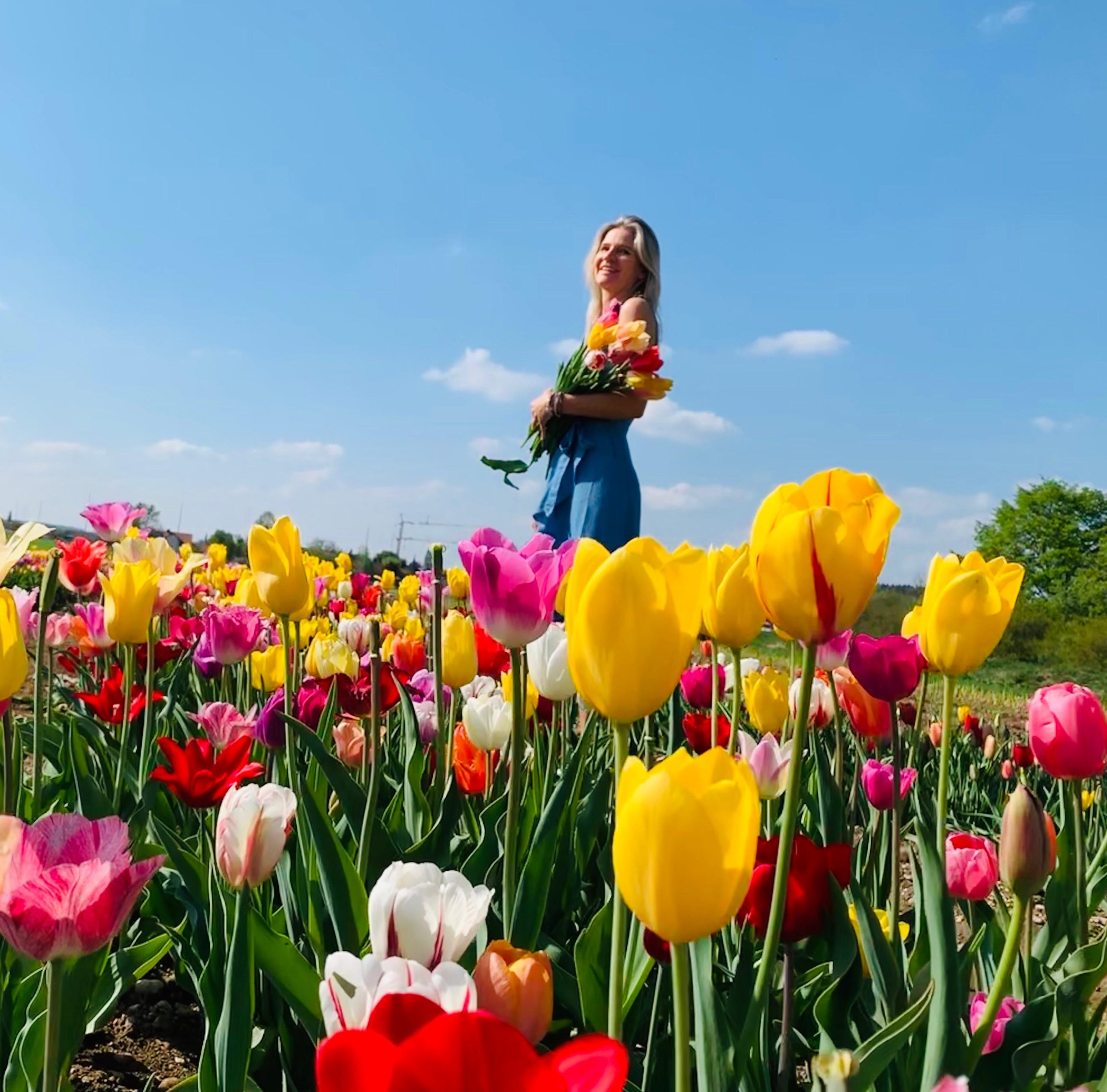 Ganzheitliche Ernährung